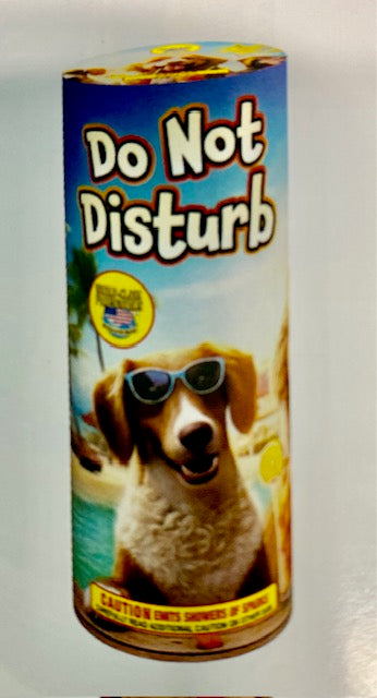 Do Not Disturb
