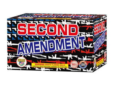 Second Amendment